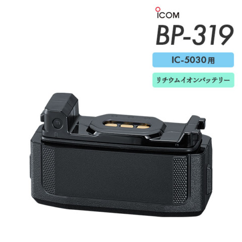 BP-319