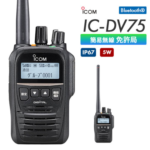 IC-DV75