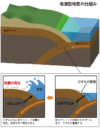 海溝型地震の仕組み